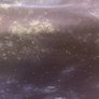 Single duvet and matching fitted sheet Space Moon Image 5