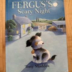 Fergus's Scary Night - Paperback: Ages 4-6 years