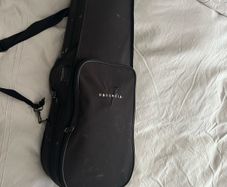 violin