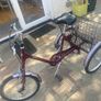 adult tricycle Image 3