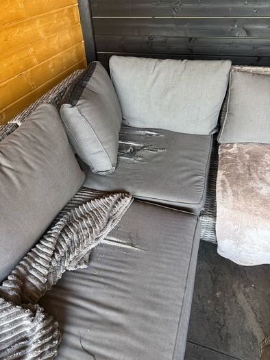 garden furniture