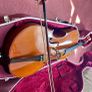 Cello. Full size. Image 2