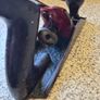Vintage Millers Falls 9" Smoothing Hand Plane USA Woodworking Tool Cast Iron Image 7
