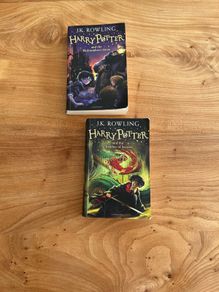 Harry Potter (First 2 Books in series)