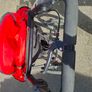 Running buggy Image 5