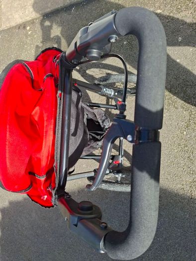 Running buggy