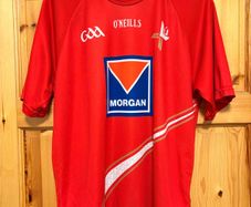 2013/14 Louth GAA Jersey