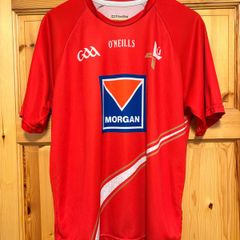 2013/14 Louth GAA Jersey