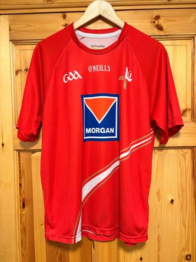 2013/14 Louth GAA Jersey