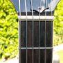 Loar Archtop Guitar Image 7
