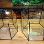 Hexagonal Aquarium 17l Image 5