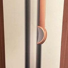 Dyson Airstrait