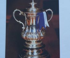 FA CUP TROPHY - Pro Set English Football 1991-1992 #465