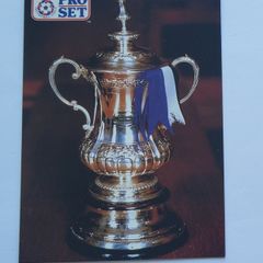 FA CUP TROPHY - Pro Set English Football 1991-1992 #465