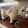 Le Mieux toy pony Image 2