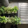2 fake small planter Image 3