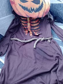 Pumpkin Costume