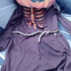 Pumpkin Costume