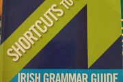 Shortcuts to Success Irish Grammar Guide for JC