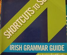 Shortcuts to Success Irish Grammar Guide for JC