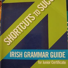 Shortcuts to Success Irish Grammar Guide for JC
