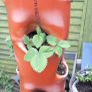 Vertical Planter Image 2