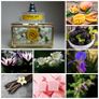 Mango Skin by Vilhelm Parfumerie Image 2
