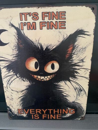Cute funny Crazy Cat sign