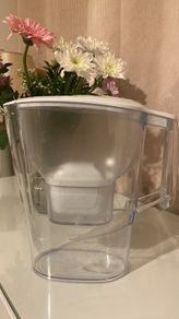 Water filter (brita)