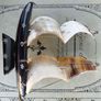 Vintage Horn Ship Image 4