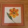 Prints/Two Bright Floral Pictures .. Frames Size" 18" x 18" .. NOW ONLY 22euro for Both or 16.00Each Image 5