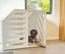 Dog Create XL, bespoke handcrafted
