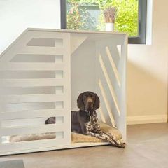 Dog Create XL, bespoke handcrafted