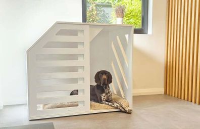 Dog Create XL, bespoke handcrafted