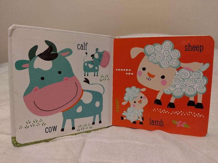 Petite Boutique Board Books x 4