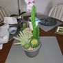 Cactus plants artificial potted Image 7