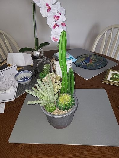 Cactus plants artificial potted
