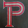 Nike Portugal Travel T-Shirt in Sequoia Green Image 3