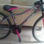 Girls Bike Image 5