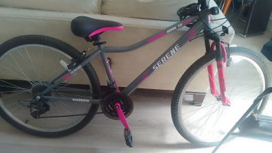 Girls Bike