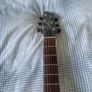 Godin Image 5