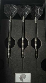 James wade 22g Nior darts