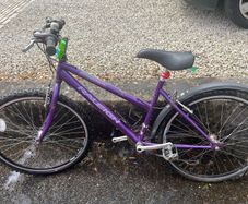 ladies raleigh bike