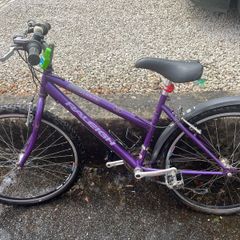 ladies raleigh bike
