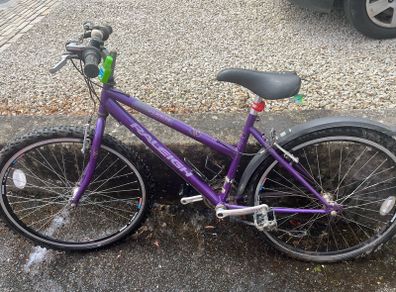 ladies raleigh bike