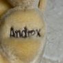 Andrex Puppy Image 2