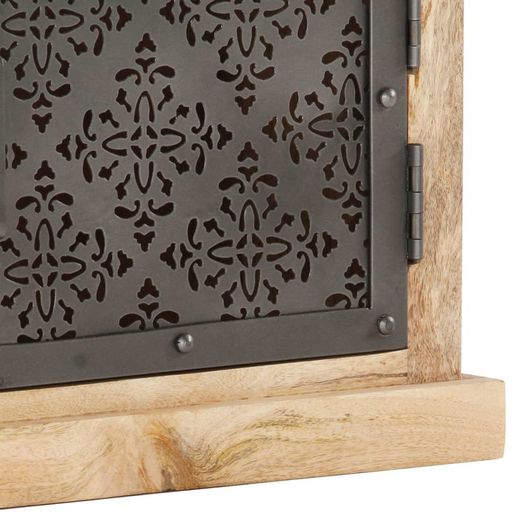TV Cabinet with Steel Doors 120x30x40cm Solid Mango Wood