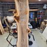 Olive Ash Live edge slab Image 3