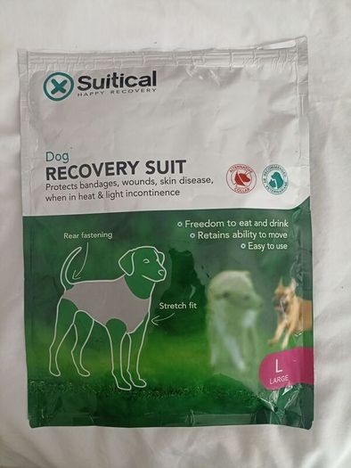 Dog recovery suit