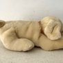 Vintage Andrex Puppy Image 5